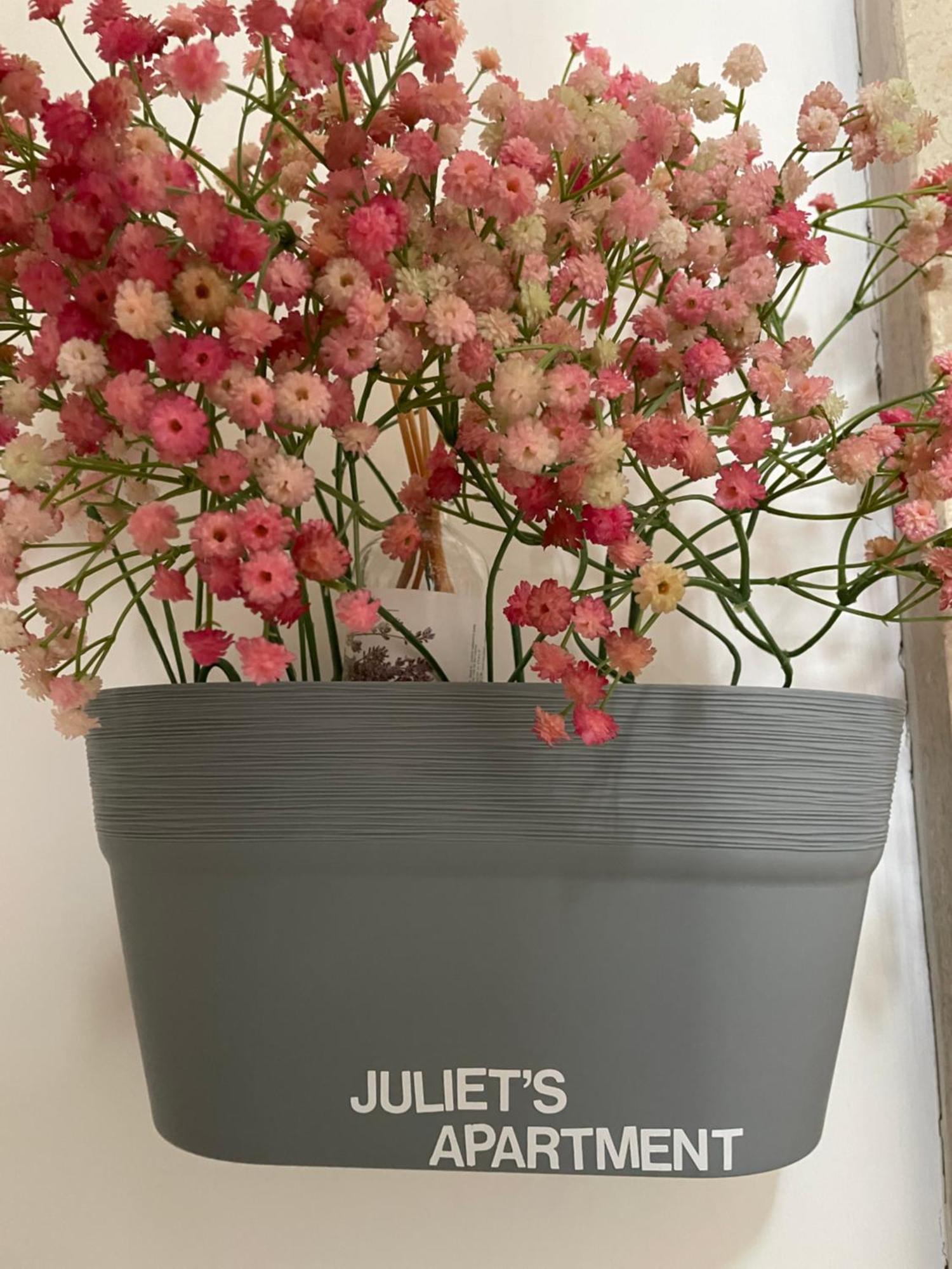 Juliet'S Apartment Верона Екстер'єр фото